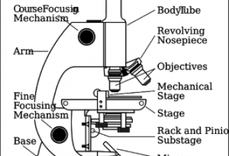 Il microscopio, una storia lunga duemila anni