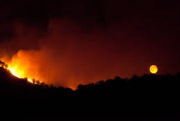 Gli incendi, piaga ambientale senza fine