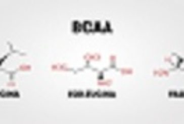 BCCA & Co per lo Sport