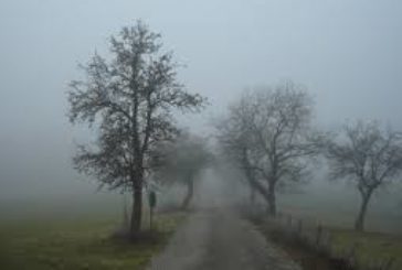 Nebbia; cambiamenti climatici!